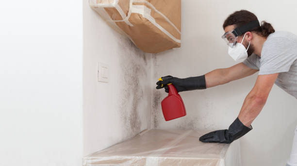 Professional Crawl Space Mold Remediation technician working in Dayton, NJ