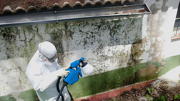 Top rated local Crawl Space Mold Remediation specialists in Dayton, NJ